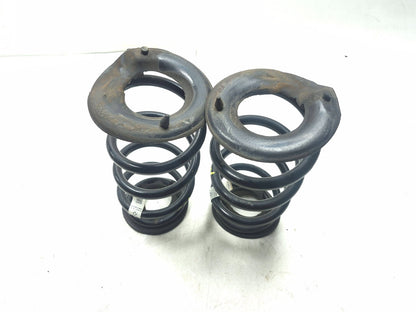 2019 Tesla Model 3 Rear Coil Spring Pair OEM