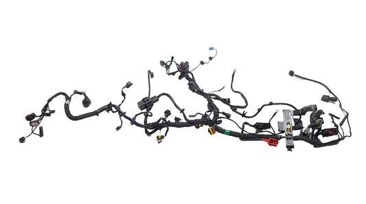 2019 BMW G310r Main Engine Wire Harness Electrical Loom OEM