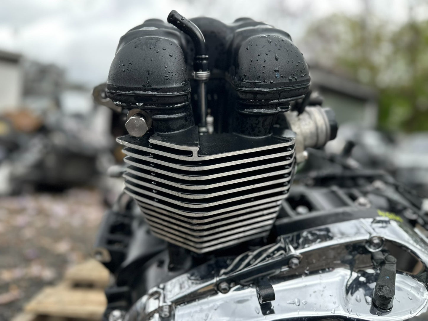 2014 Triumph America Engine Motor OEM 5,083 Miles