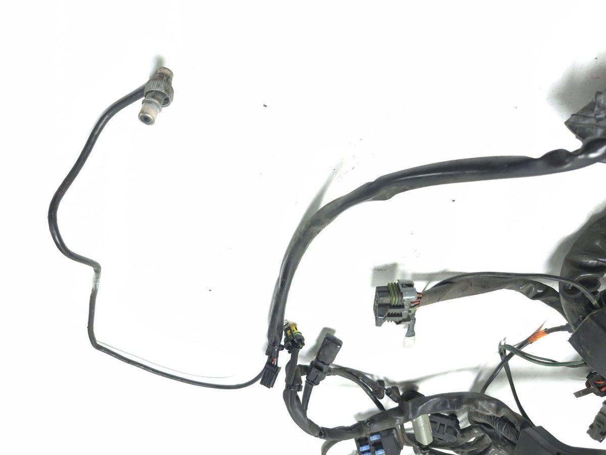 2007 Harley-davidson Touring Street Glide Main Wire Harness OEM