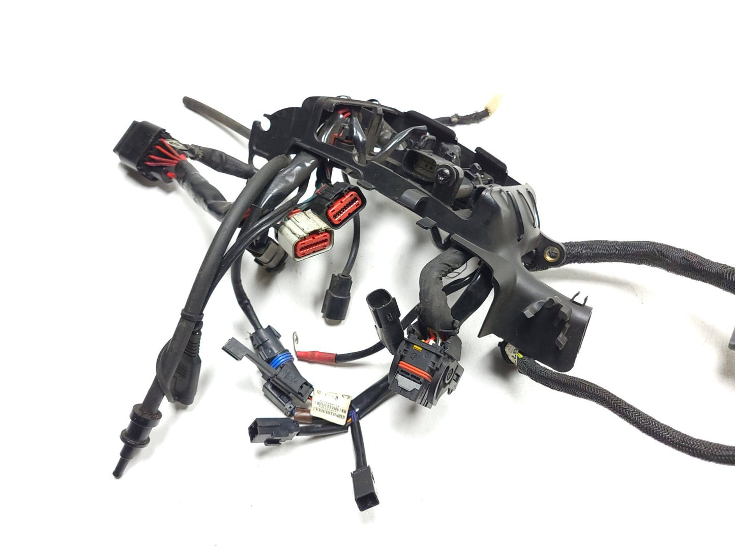 2019 Harley Davidson Xl 883 Iron Main Wiring Harness OEM
