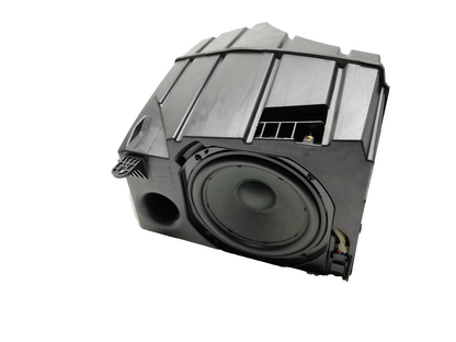 2021 Tesla Model 3 Rear Subwoofer 1079747-00-d OEM