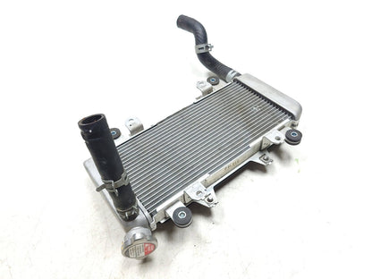 17-24 Kawasaki Kle300 Versys-x 300 Cooling Radiator 39061-0735