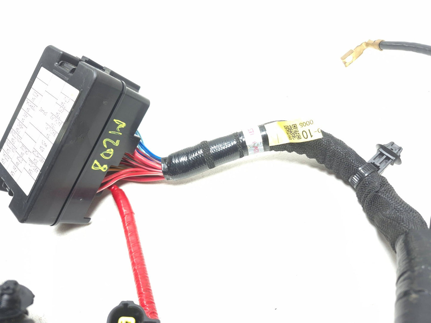 2025 Yamaha Xsr900 Main Wire Harness OEM