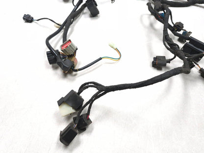 2023 Csc Rx3 Rx4 Adventure Wiring Harness OEM