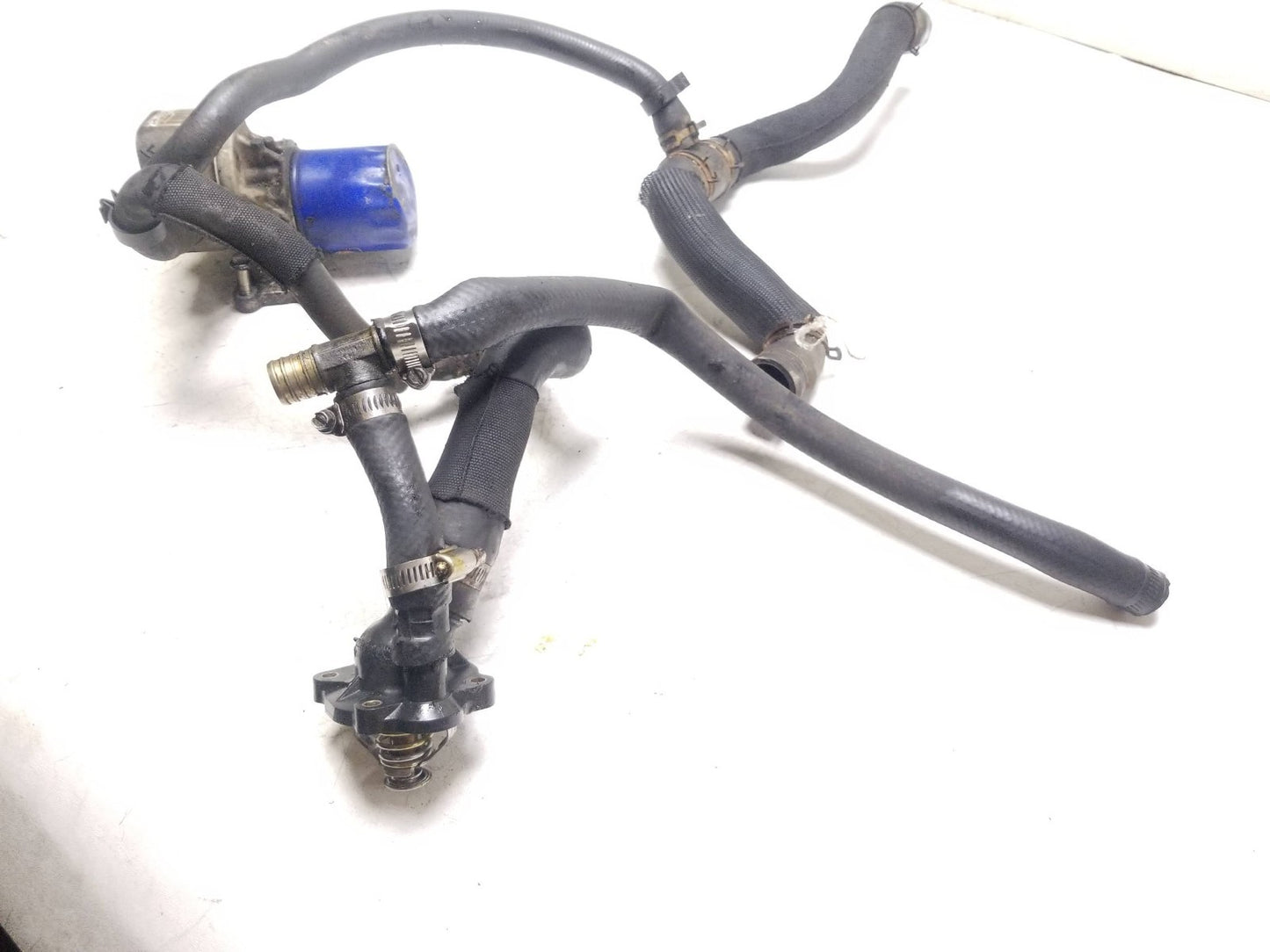 2012 Ford Transit Connect Oil Filter Housing & Thermostat Housing OEM