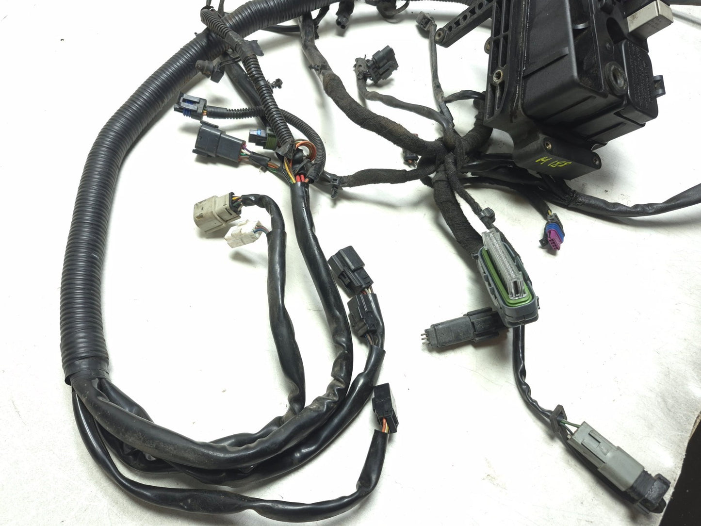 2008 Harley-davidson Dyna Fat Bob Fxdf Main Wiring Wire Harness Loom OEM