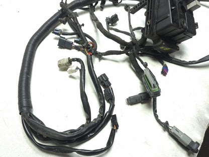 2008 Harley-davidson Dyna Fat Bob Fxdf Main Wiring Wire Harness Loom OEM