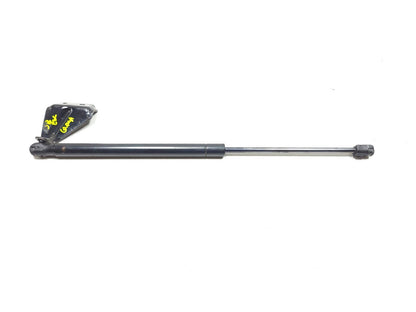 2008 Ford Escape Trunk Lid Shock Strut Support Pair OEM