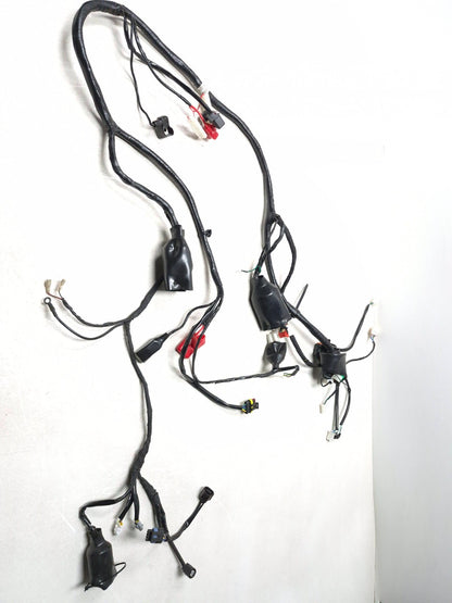 2023 Qianxin Fy200t Main Wire Harness OEM