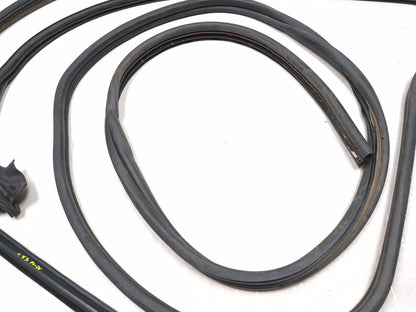 2013 Ford Transit Connect Front Door Weatherstrip Seal Left & Right OEM