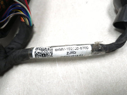 2023 Cf Moto Lifan 300ss Main Wiring Harness OEM