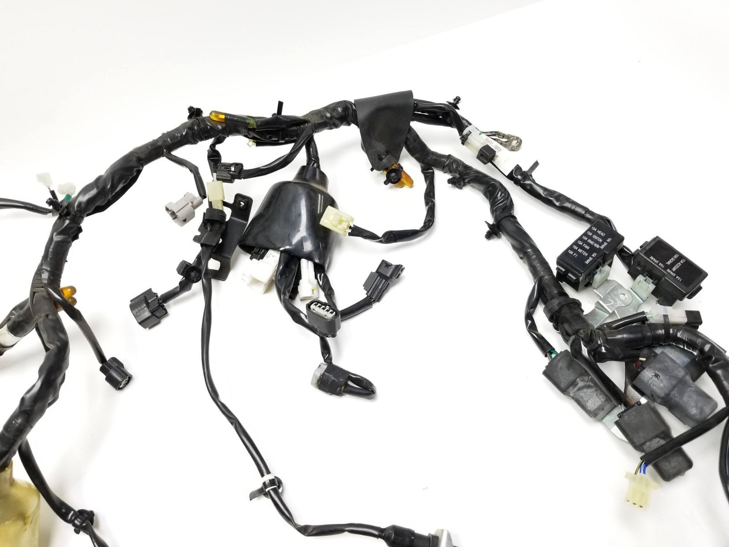 2022 Kawasaki Klr650 Kl650l Main Engine Wiring Harness OEM