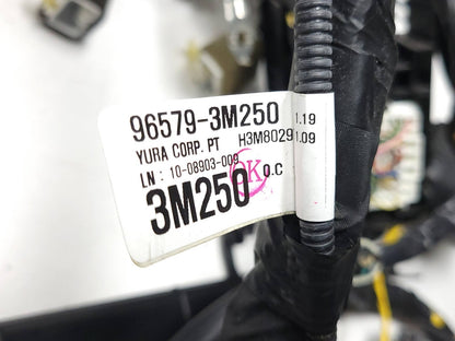 2009 Hyundai Genesis Interior Wire Harness 4.6l OEM