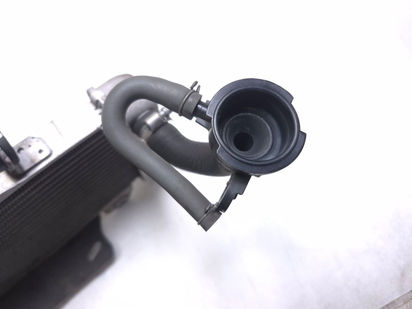 2020 Honda Cb300r Cbf300na Radiator OEM