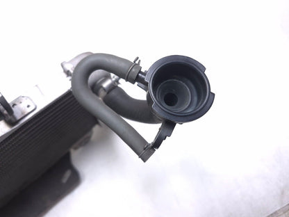 2020 Honda Cb300r Cbf300na Radiator OEM