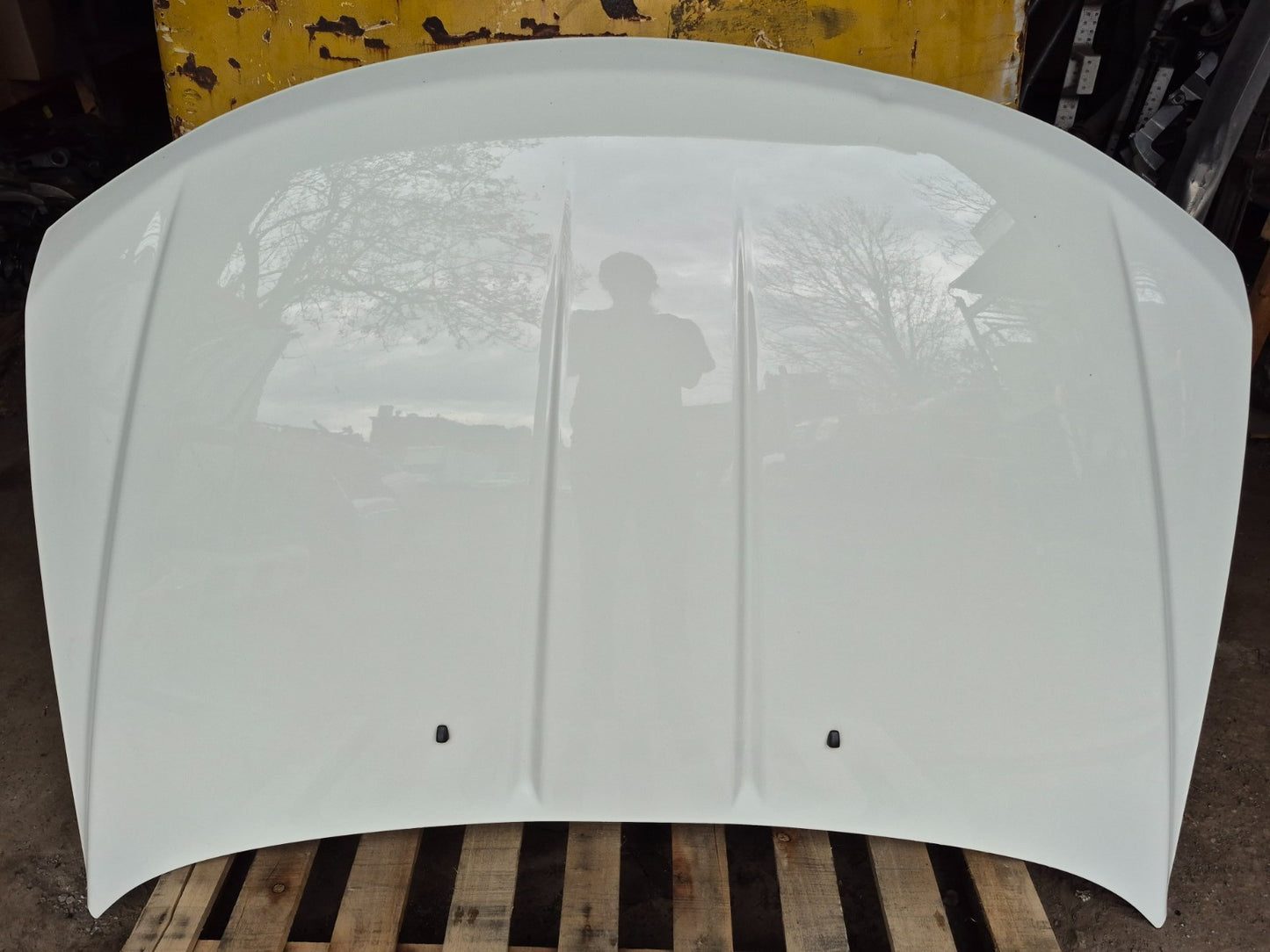 2017 Dodge Journey Hood Bonnet OEM