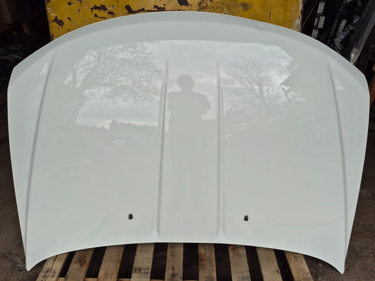 2017 Dodge Journey Hood Bonnet OEM