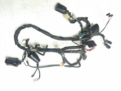 2009 Yamaha Fz6r Main Wire Harness OEM