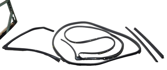 2019 Ford Ecosport Door Weatherstrip Rear Driver Side Left OEM