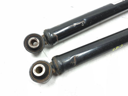 2022 Tesla Model 3 RWD Rear Shock Strut Absorber Left & Right OEM