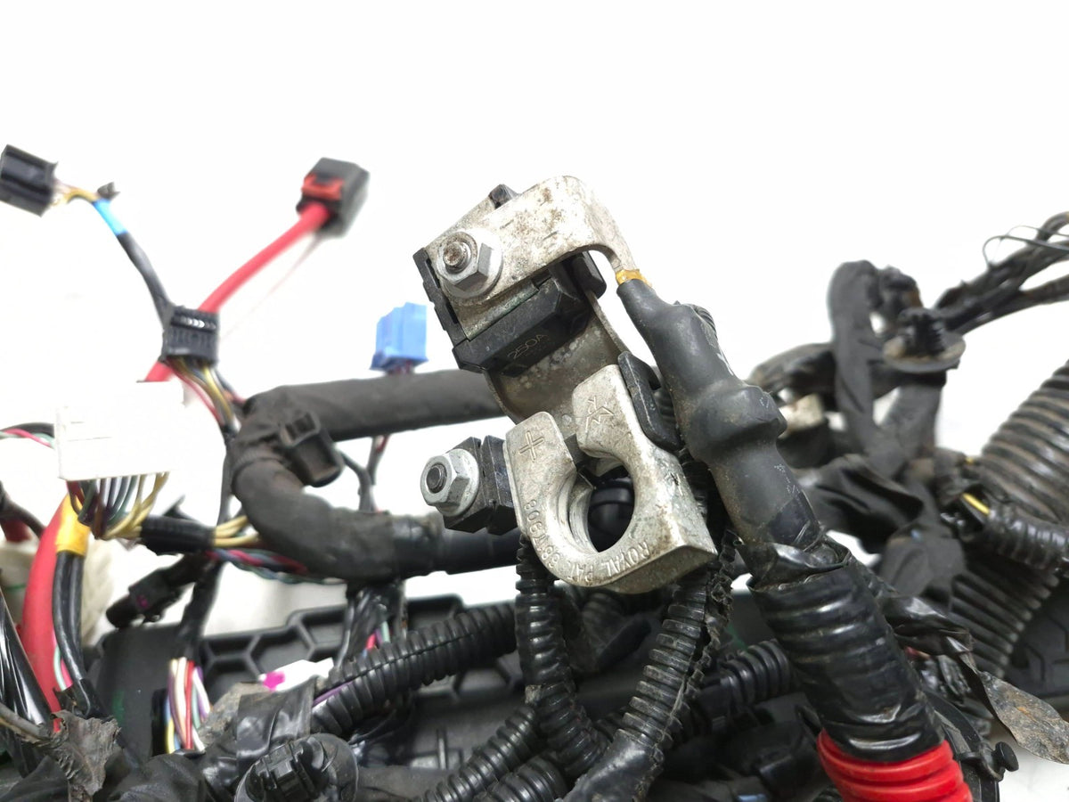 2021 Tesla Model 3 RWD Front Main Body Under Hood Wire Harness 2567964-02-b OEM