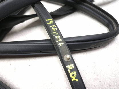 2014 Hyundai Sonata Rear Door Weatherstrip Seal Driver Side Left 2pcs OEM