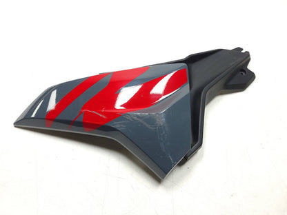 2017 - 2021  BMW G310 R Radiator Grille Side Cover Fairings OEM