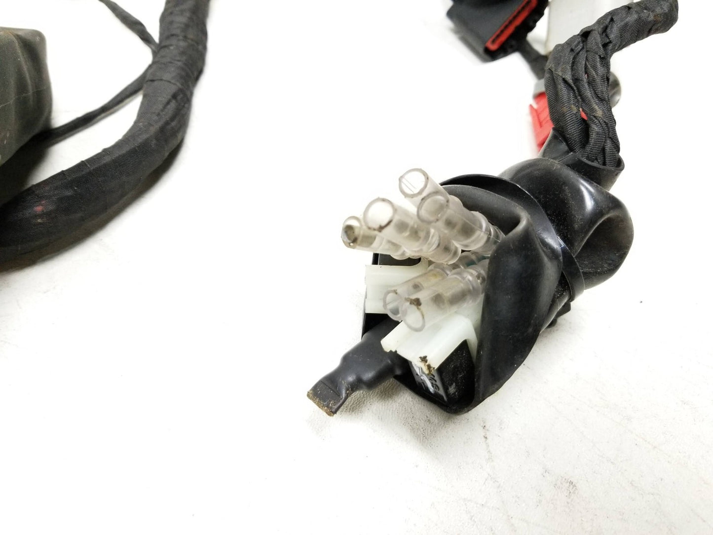 20 - 24 Benelli 302s Engine Main Wire Harness OEM 1609 Miles