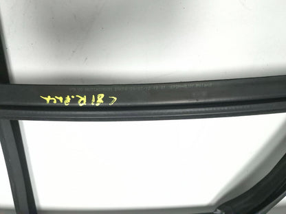 2013 Volvo S60 Door Window Belt Molding Front & Rear Set OEM