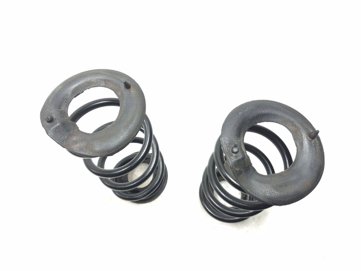 2020 Tesla Model 3 Rear Suspension Coil Spring Left & Right OEM