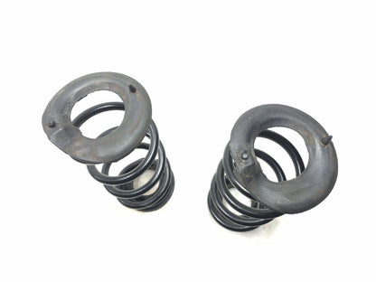 2020 Tesla Model 3 Rear Suspension Coil Spring Left & Right OEM