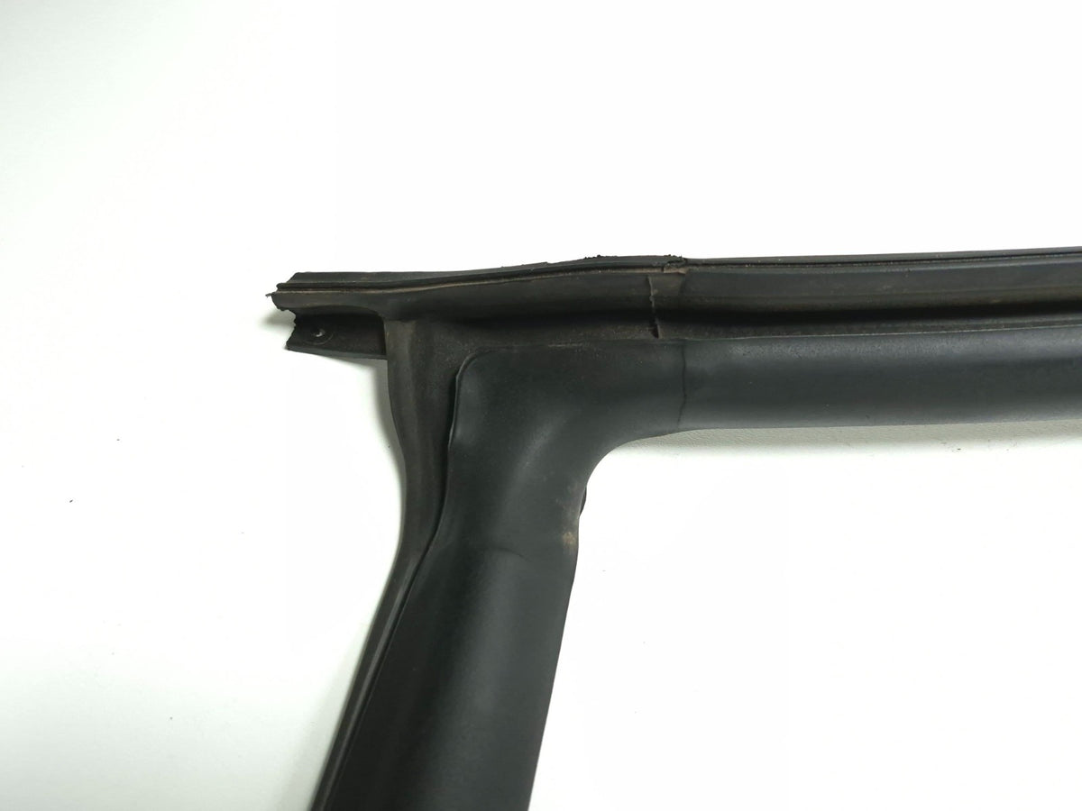 2021 Tesla Model 3 Front Door Window Belt Molding & Body Seal Passenger Side OEM