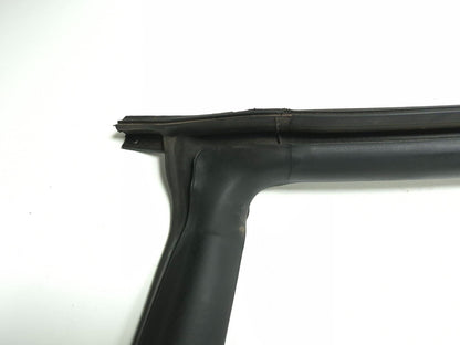2021 Tesla Model 3 Front Door Window Belt Molding & Body Seal Passenger Side OEM