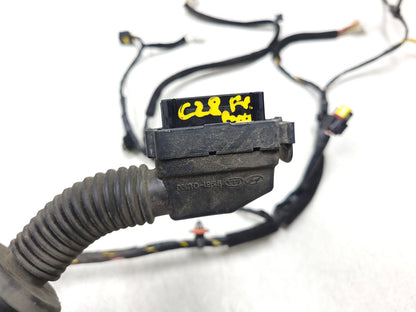 2012-2017 Hyundai Accent Front Right Door Wire Harness OEM 91610-1r165