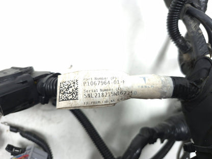 2018 Tesla Model 3 Front Body Under Hood Wire Harness 1067964-01-f OEM
