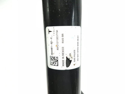 2022 Tesla Model 3 RWD Rear Shock Strut Absorber Left & Right OEM