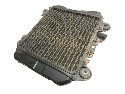 2007 Kawasaki Ninja 250 Ex250 F Cooling Radiator W/ Screen OEM