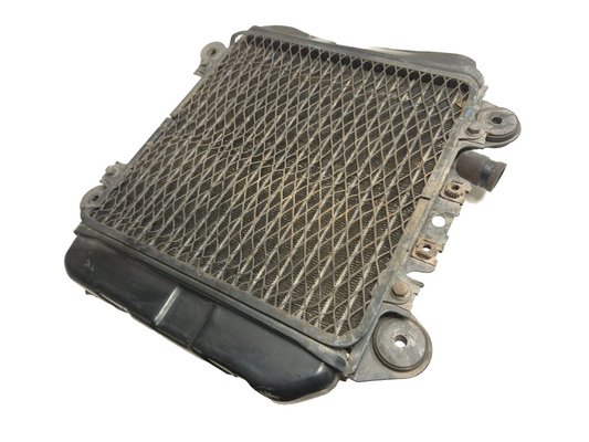 2007 Kawasaki Ninja 250 Ex250 F Cooling Radiator W/ Screen OEM