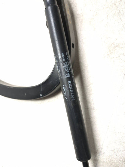 2013 Hyundai Genesis Coupe Hinge Trunk Pair OEM