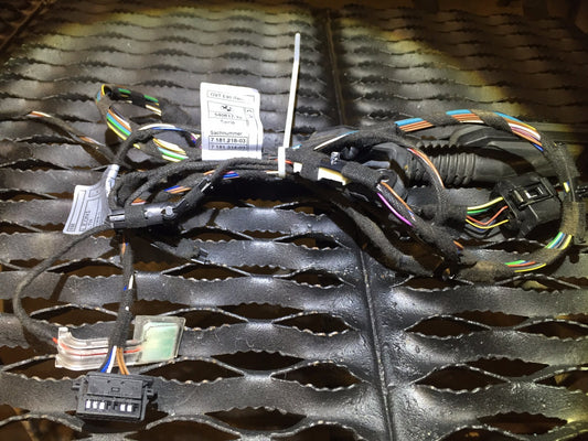 07 08 09 10 11 BMW E90 328xi Door Wire Harness Rear Right Pass Side Sedan OEM