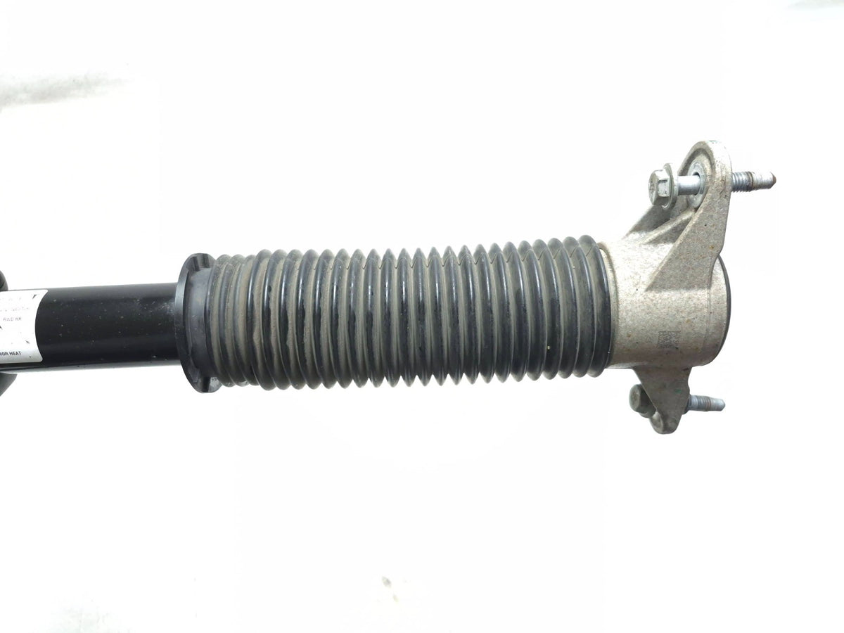 2022 Tesla Model 3 RWD Rear Shock Strut Absorber Left & Right OEM