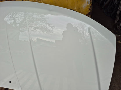 2017 Dodge Journey Hood Bonnet OEM