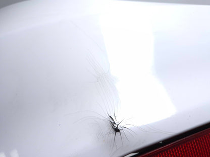 2021 Alfa Romeo Giulia Rear Bumper Cover Oem✅ 78k Miles