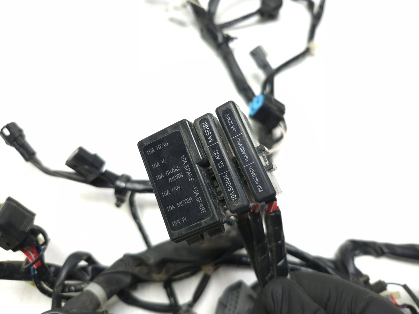 2022-2024 Kawasaki Versys-x 300 Kle300 OEM Main Wire Harness 26031-2642
