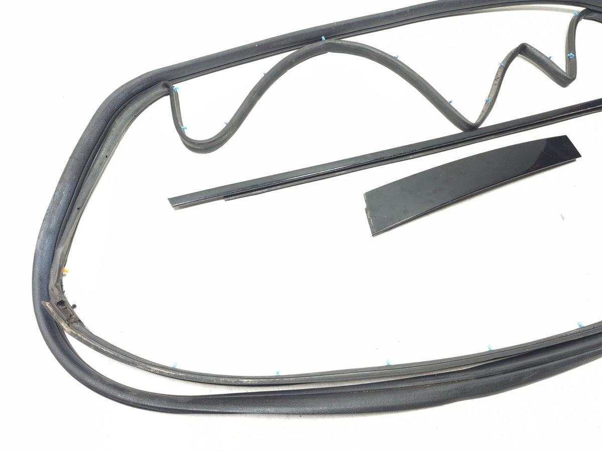2004-2008 Acura Tl Front Door Weatherstrip Seal & Belt Passenger Side Right OEM