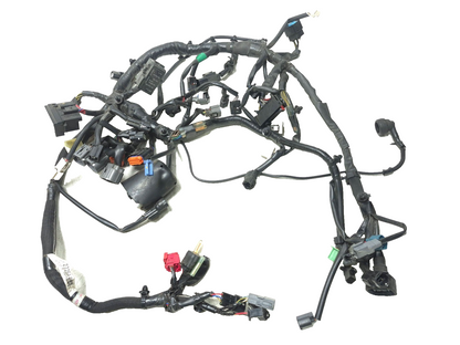 2019 Kawasaki Z400 Er400d Main Wire Harness OEM