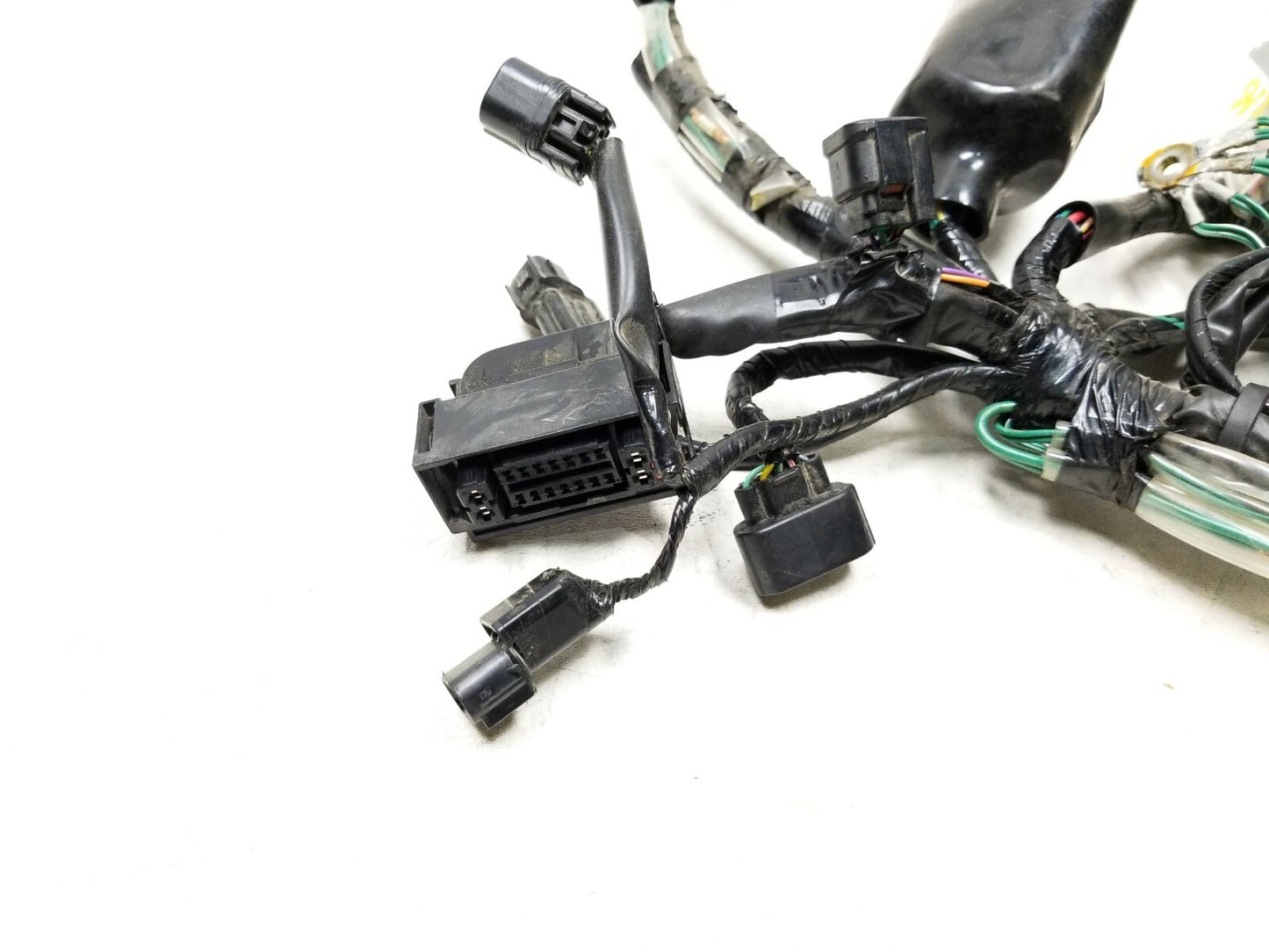 19 - 23 Honda Cbf300 Na Main Engine Wire Harness OEM