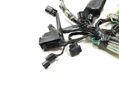 19 - 23 Honda Cbf300 Na Main Engine Wire Harness OEM