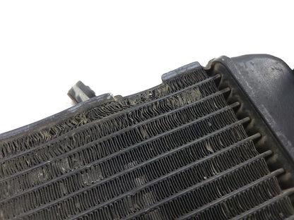 2004 - 2006 Yamaha Yzfr1 R1 Engine Cooling Radiator OEM